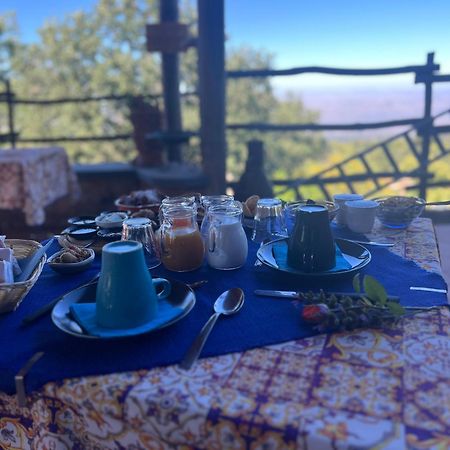 Villa Il Giardino Di Efesto Biancavilla Esterno foto